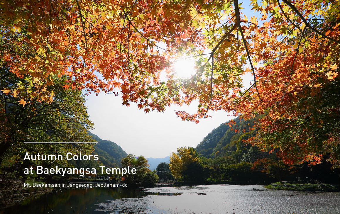 Autumn Colors at Baekyangsa Temple